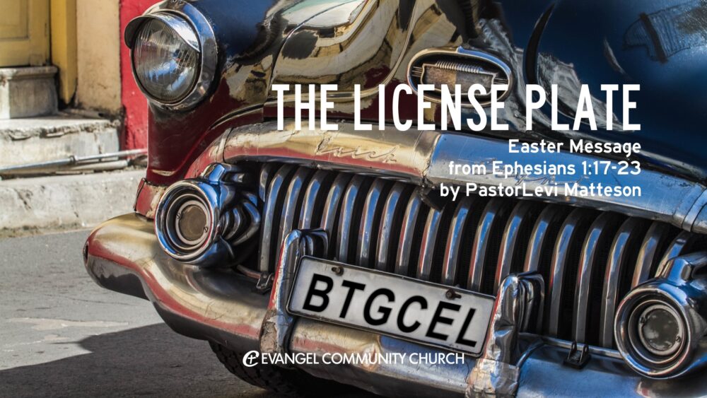The License Plate Image