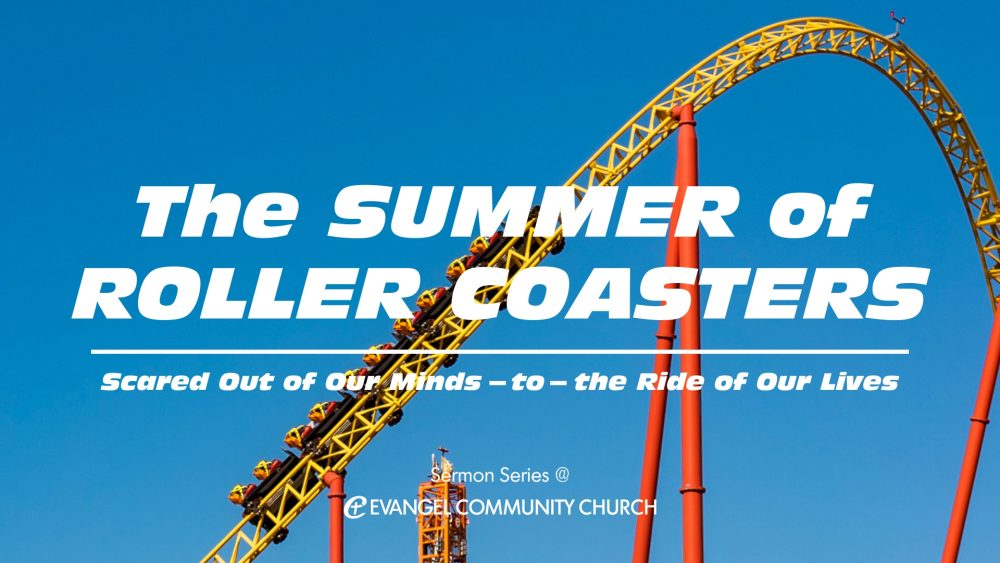 The Summer of Roller Coasters