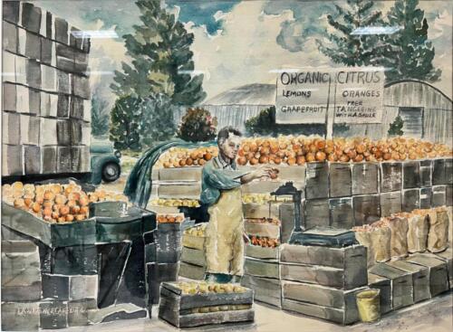 Organic Farmer by Lawrence Carter